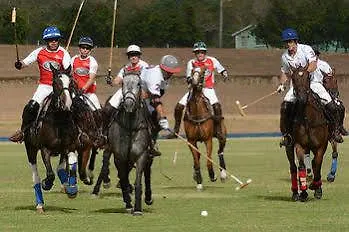 Villa Apes Hill Golf And Polo Club Orange Hill
